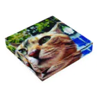 電気羊研究所science&GAMEの公園猫　 Acrylic Block :placed flat