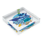 みなとまち層の暖かい海の魚たち Acrylic Block :placed flat