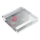 サキノと申しますのアカコスモス Acrylic Block :placed flat