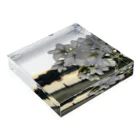 №820の№820 Acrylic Block :placed flat