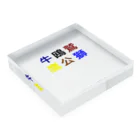 カモーメの野球 Acrylic Block :placed flat