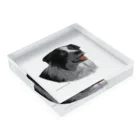 Chroma LaboのSmart Collie Dog Acrylic Block :placed flat