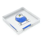 ぴぃのインコちゃん！ Acrylic Block :placed flat