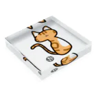 まるねこのねこNiコ(アメショ) Acrylic Block :placed flat