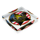 Ａ’ｚｗｏｒｋＳのアメリカンイーグル-AMC-THE STARS AND STRIPES Acrylic Block :placed flat