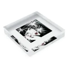 Yuki-collectionのパパラッチ!!! Acrylic Block :placed flat