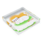 ウチのMEIGENやさんの陽だまり猫 Acrylic Block :placed flat