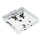 Doggie FreaksのSilken freaks（Black & White） Acrylic Block :placed flat