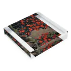 日本画家 加藤 由利子の花椿 Acrylic Block :placed flat