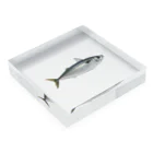 AAAstarsの鯖（saba） Acrylic Block :placed flat