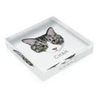 みきぞーん｜保護猫 ミッキー画伯と肉球とおともだちのchah Acrylic Block :placed flat