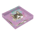 みきぞーん｜保護猫 ミッキー画伯と肉球とおともだちのguri×お花畑 Acrylic Block :placed flat