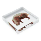 文様動物園 Pattern Zoo Museum shopの算木崩し × コビトカバ Acrylic Block :placed flat