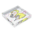 さぼてんのネコミュニケーションのねぇねと一緒♬ Acrylic Block :placed flat