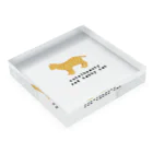 orange_honeyの猫1-5 茶トラ猫 Acrylic Block :placed flat