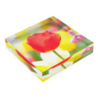 HAPPY TULIPのHAPPY TULIP 赤 Acrylic Block :placed flat