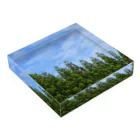 柚葉 / Yuzuha【公式】の青空と針葉樹【自主撮影写真使用】 Acrylic Block :placed flat