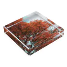 ラベンダーショップのきれいな紅葉 Acrylic Block :placed flat