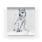 MAMETAROの柴犬 Acrylic Block