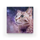 猫侍 ショップの宇宙猫 - KAGICHAN Acrylic Block