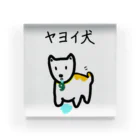 yayoiboy 弥生ボーイくんのヤヨイ犬くん Acrylic Block