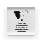 Bordercollie StreetのBorder Collie N9 Acrylic Block