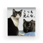 自由の猫　ねこ　neko Acrylic Block