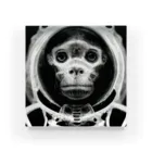 Eye2EyeのSpace Monkey #2 Acrylic Block