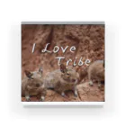 ミラくまのI LOVE Tribe アクリルブロック