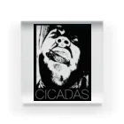 cicaDasのCICADS公式T アクリルブロック
