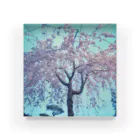 rainbow94の枝垂れ桜 Acrylic Block