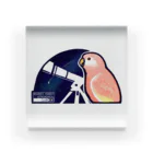 ムクのアキクサインコの天体観測 Acrylic Block