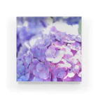 depth blueのhydrangea -a Acrylic Block