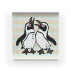 penguininkoの仲良く鳴き合うケープペンギン背景ありA アクリルブロック