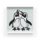 penguininkoの仲良く鳴き合うケープペンギン🐧背景ありC アクリルブロック