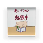 まりにゃんずのあいにゃん 勉強中 アクリルブロック