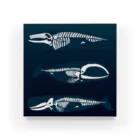 ななめやのwhalebone アクリルブロック