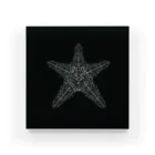 Dot .Dot.の"Dot.Dot."#008 Starfish アクリルブロック