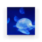Renaのクラゲ　Jellyfish Acrylic Block