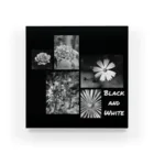 FILM CANERA FANのBlack and White Flowers アクリルブロック