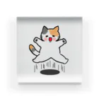 momo-nonoのもちもちほっぺのねこ アクリルブロック