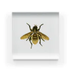 highlandのBee アクリルブロック