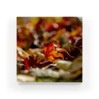 sanposhaの秋の彩り Acrylic Block