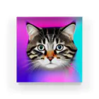 popart_catsのpopcat_justice Acrylic Block