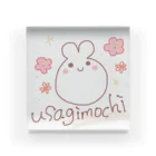 ♬もこもこほわほわeimyのおみせ♡のusagimochi アクリルブロック