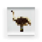 PITTEN PRODUCTSのPIXEL_ANIMAL_09(OSTRICH) アクリルブロック