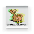 DOTSWRESTLERのCAMEL CLUTCH アクリルブロック