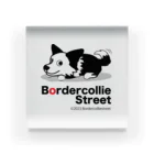 Bordercollie StreetのBCS123AB-1 アクリルブロック