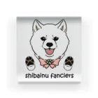 豆つぶのshiba-inu fanciers(白柴) Acrylic Block