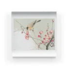 MUGEN ARTの小原古邨　梅に鶯　Ohara Koson / Songbird on blossom branch アクリルブロック